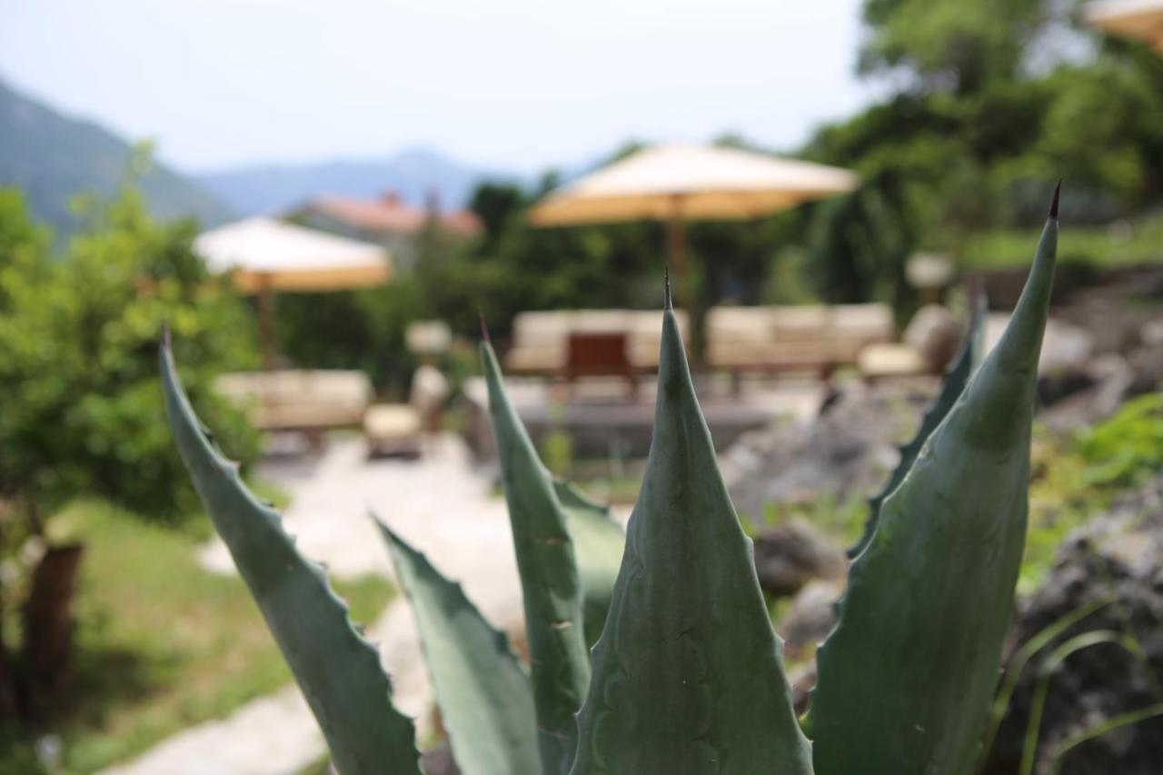 Hotel Lavanda Donja Kostanjica Exteriör bild